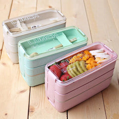 Separate Mikrowellen-Licht-Lunchbox