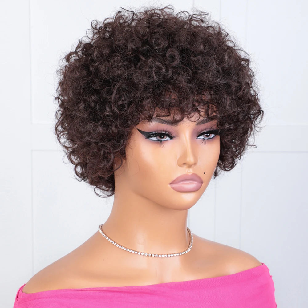 Sleek Short Brazilian Afro Kinky Curly Wig Short Human Hair Wigs For Black Women 100% Real Hair Wigs 4 Dark Brown Colored Wig