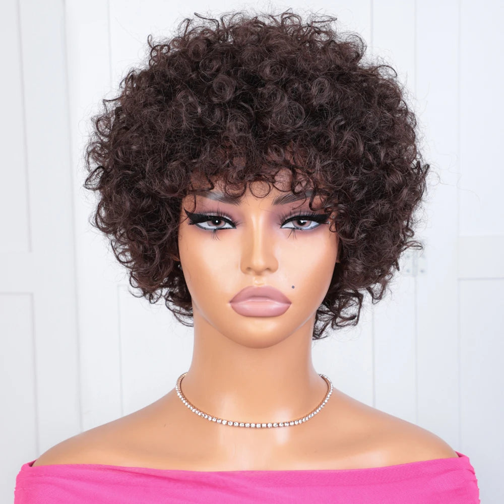 Sleek Short Brazilian Afro Kinky Curly Wig Short Human Hair Wigs For Black Women 100% Real Hair Wigs 4 Dark Brown Colored Wig