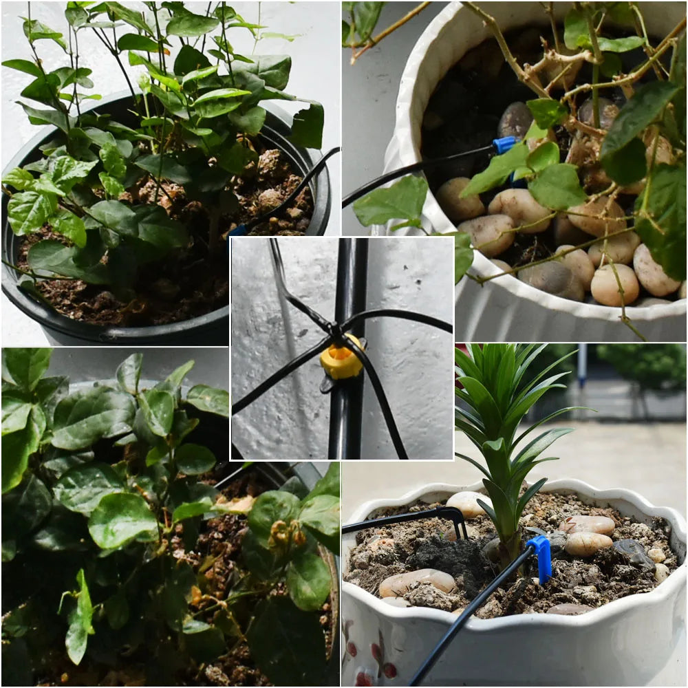 Greenhouse Potted Curved Arrow Drip Irrigation Set 2L4L8L Pressure Compensation Dripper 3/5mm 1/2/4-way Hose Connector