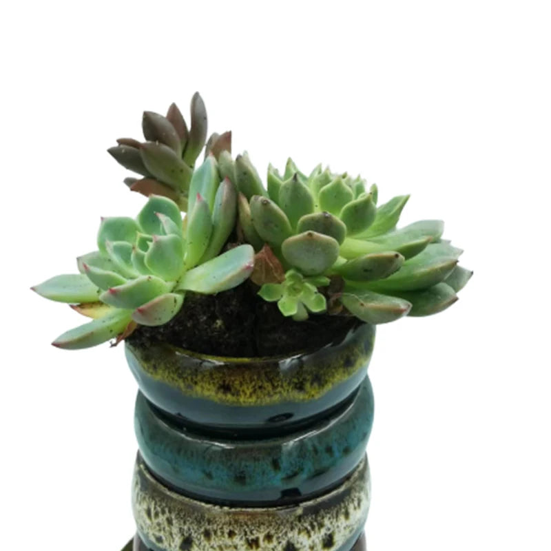 Kiln Variable Flow Glazed Bonsai Ceramic Flower Pots Outdoor Bonsai Containers Modern Decorative Pottery Horticultural Supplies